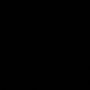 Meet your Posher, Rasheeka